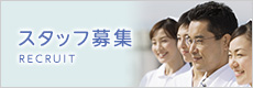 スタッフ募集